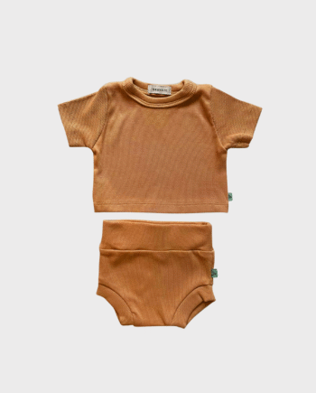 Conjunto Girassol Ferrugem
